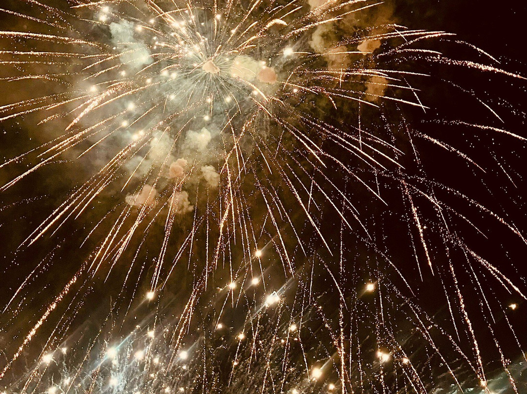 博格特酒店主图