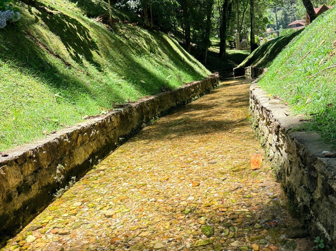 Parque Ecológico Ouro Fino-Campo Largo必去景点