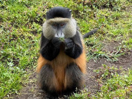 Africa Adventure Safaris-坎帕拉必去景点