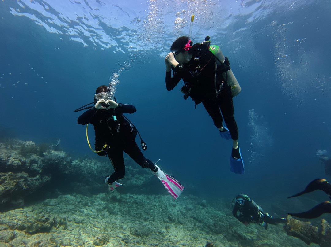 帆鱼潜水-拉哥岛必去景点