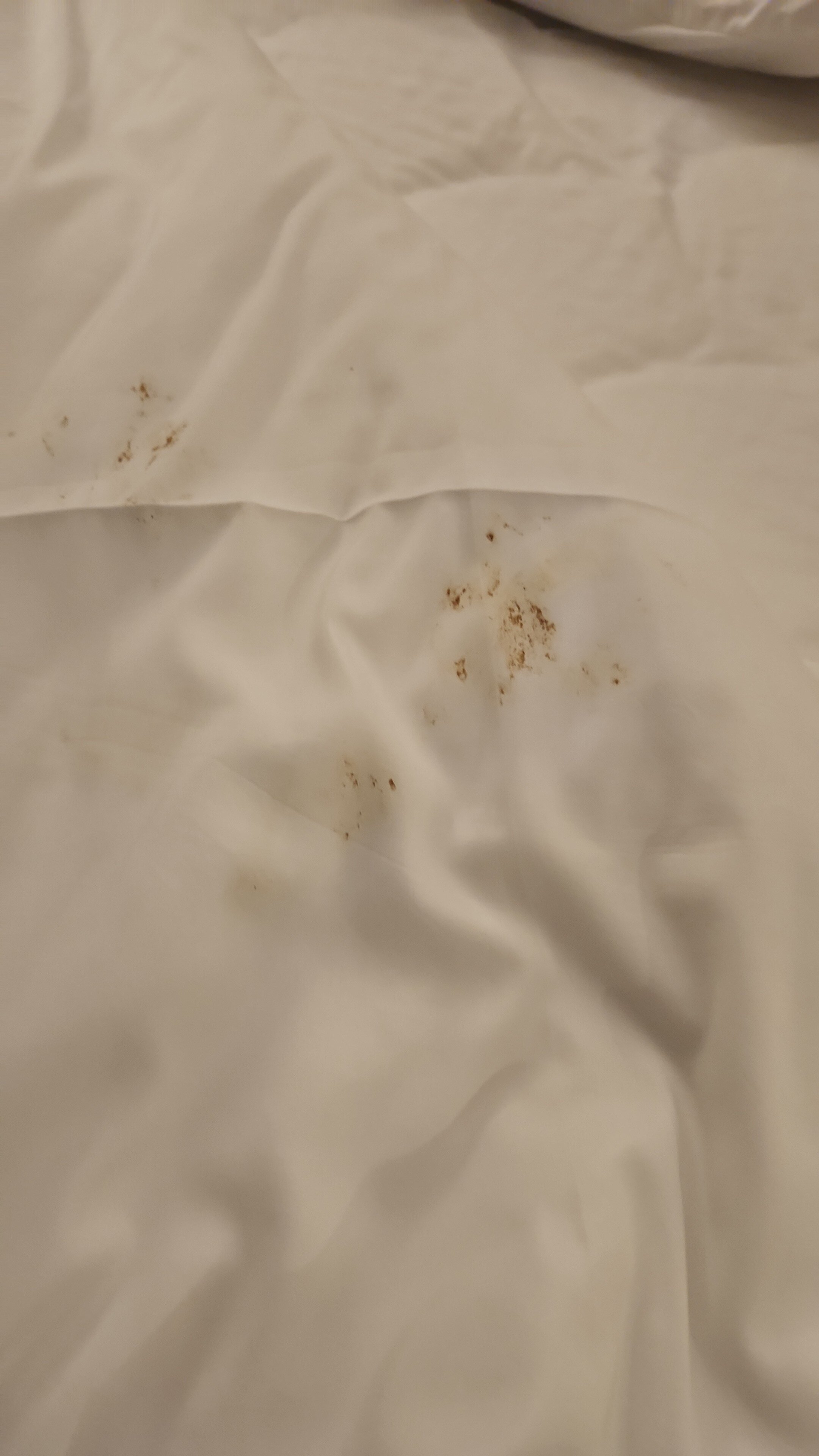 Leonardo Hotel Negev Beer-Sheva-官方