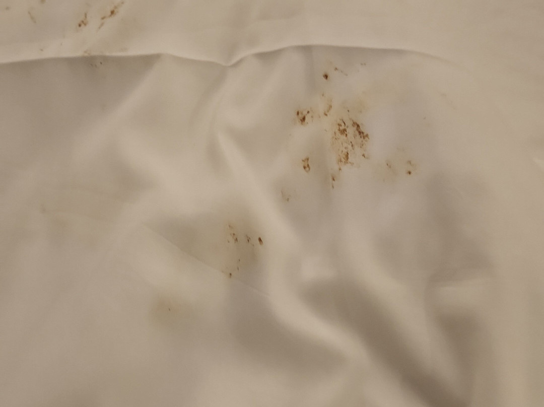 Leonardo Hotel Negev Beer-Sheva主图