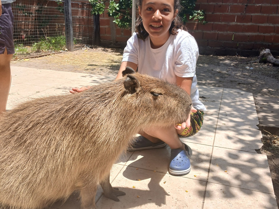 Museo Acuario Federacion-Federación必去景点