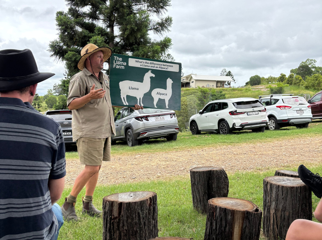 The Llama Farm-伊普斯威奇必去景点