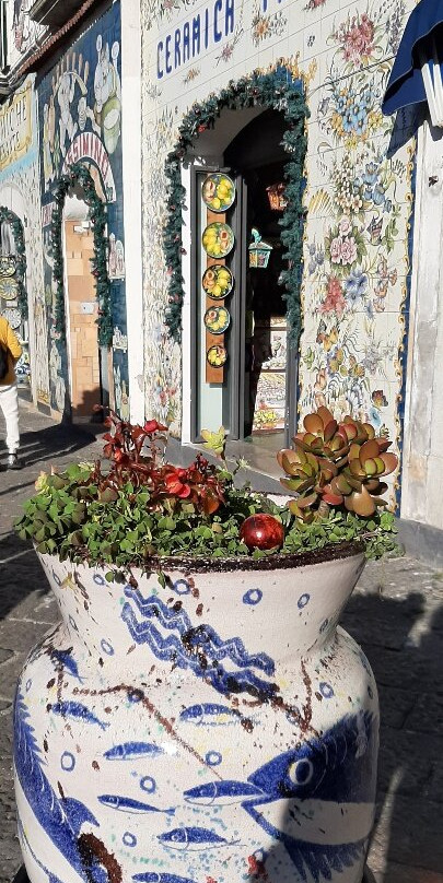 Ceramiche S. Falcone-滨海维耶特里必去景点