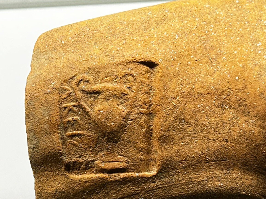 Archaiologikó Mouseío Alexandroupóleos-亚历山德鲁波利必去景点