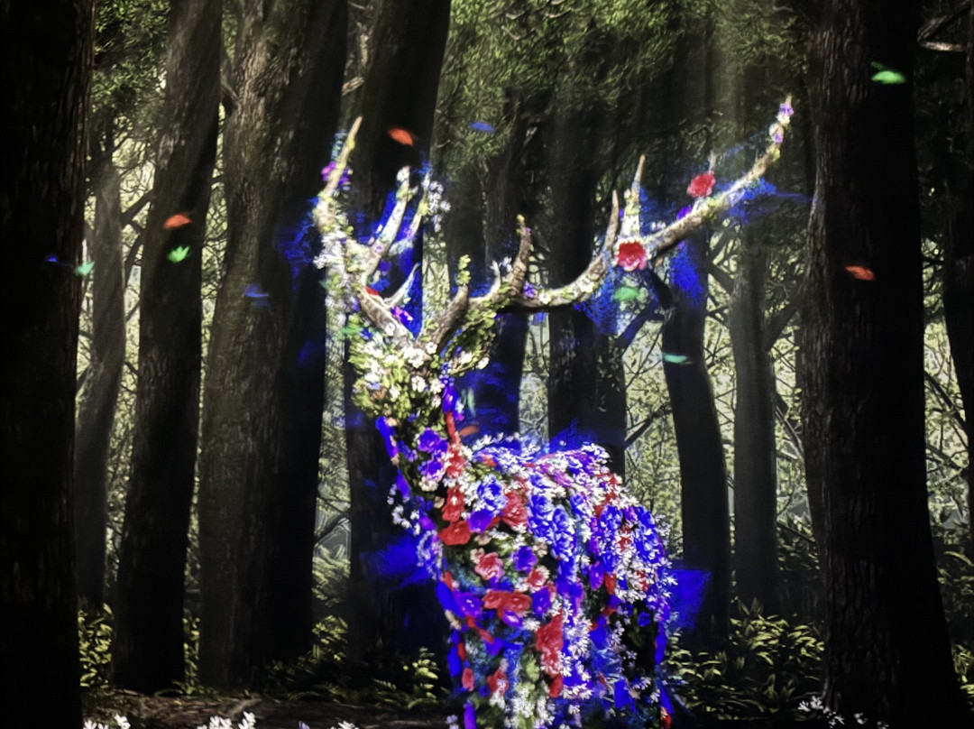 ARTE MUSEUM DUBAI-迪拜必去景点