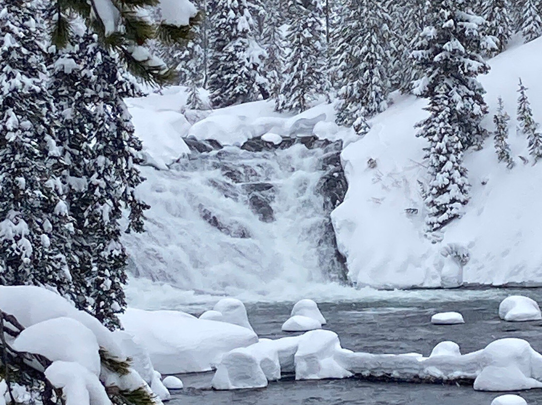 Old Faithful Snowmobile Tours - Day Tours-杰克逊必去景点