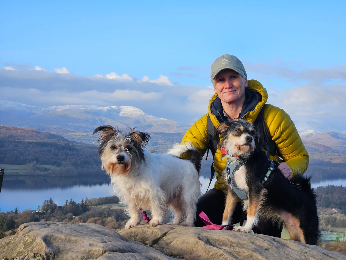 温德米尔庄园酒店-官方