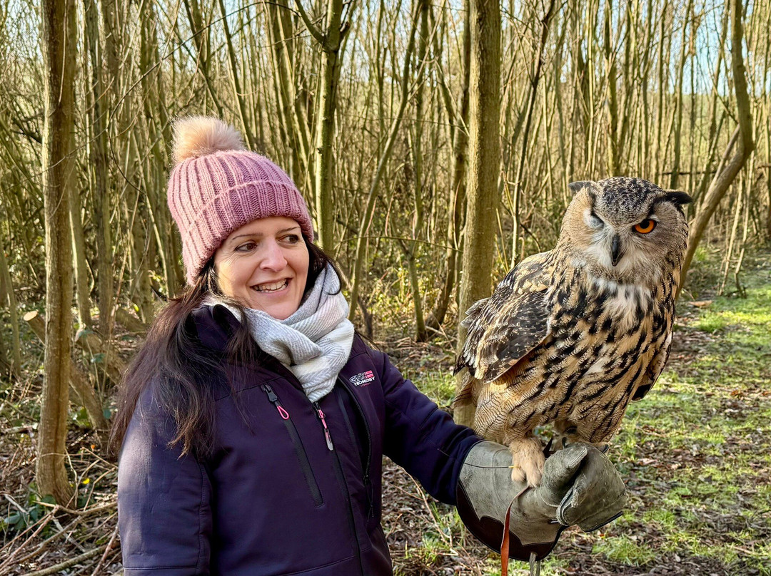 Bird on the Hand Falconry Experiences-Church Langton必去景点