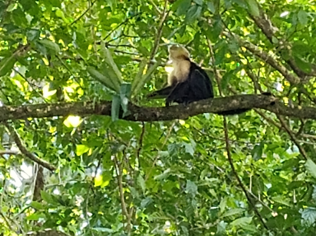 Maleku Tours-利比里亚必去景点