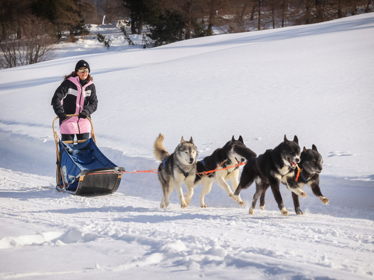 The Husky Experience Sestriere-Sestriere必去景点