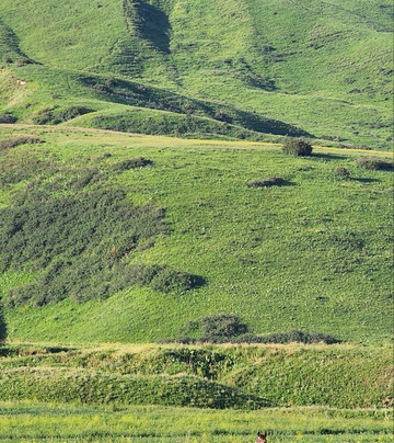 Chon-Kemin National Park-Kemin必去景点