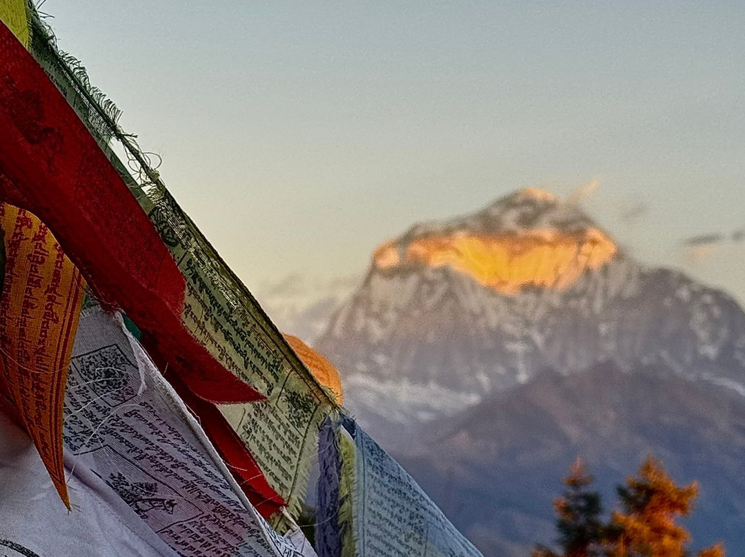 Ambition Himalaya Treks & Expeditions-加德满都必去景点