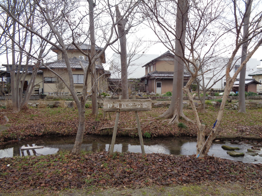 Shimmei Nature Park-米原市必去景点