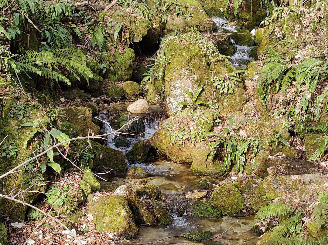 Il sentiero di Presepi a Campodalbero-Crespadoro必去景点