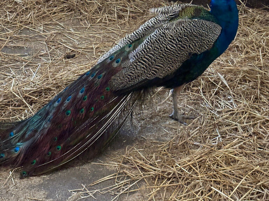 Newton Farm Holidays & Tours主图