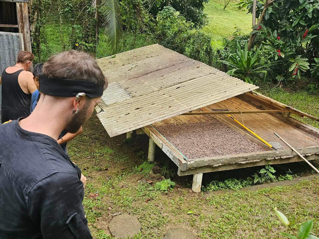 Green Acres Chocolate Farm and Nature Preserve-Cerro Brujo必去景点
