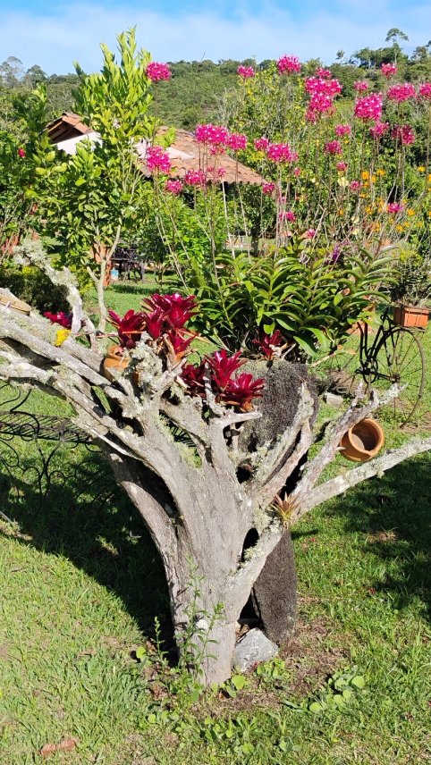 Hotel Estorake San Agustin Huila-官方