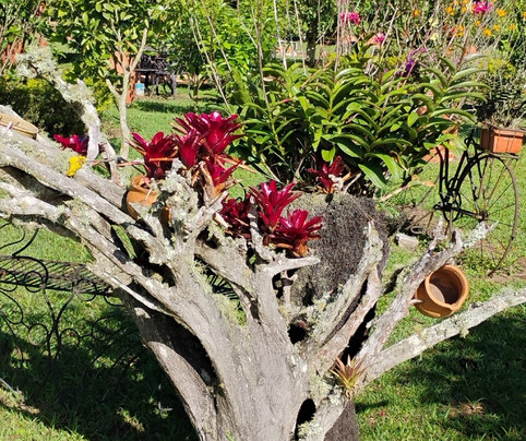 Hotel Estorake San Agustin Huila主图