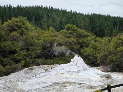 Lady Knox Geyser-罗托鲁瓦必去景点