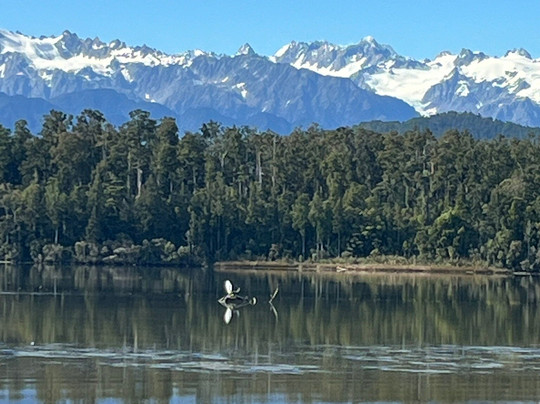 Okarito Boat Tours-Okarito必去景点