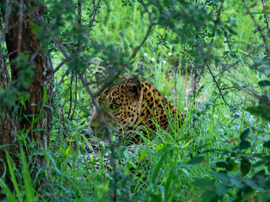 EverseenAfrica-霍德斯普鲁特必去景点