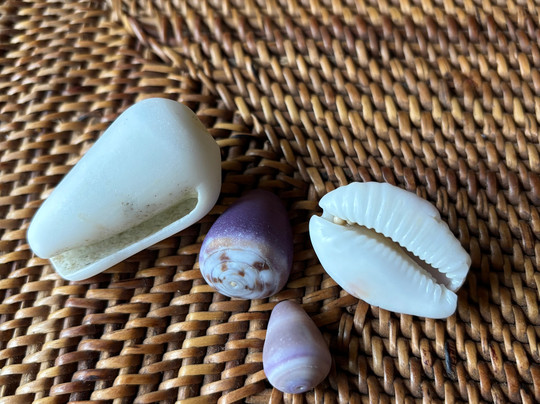 Ekas Surf & Kitesurfing Resort主图