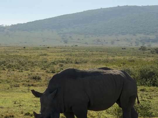 Bigfoot Adventures-内罗毕必去景点
