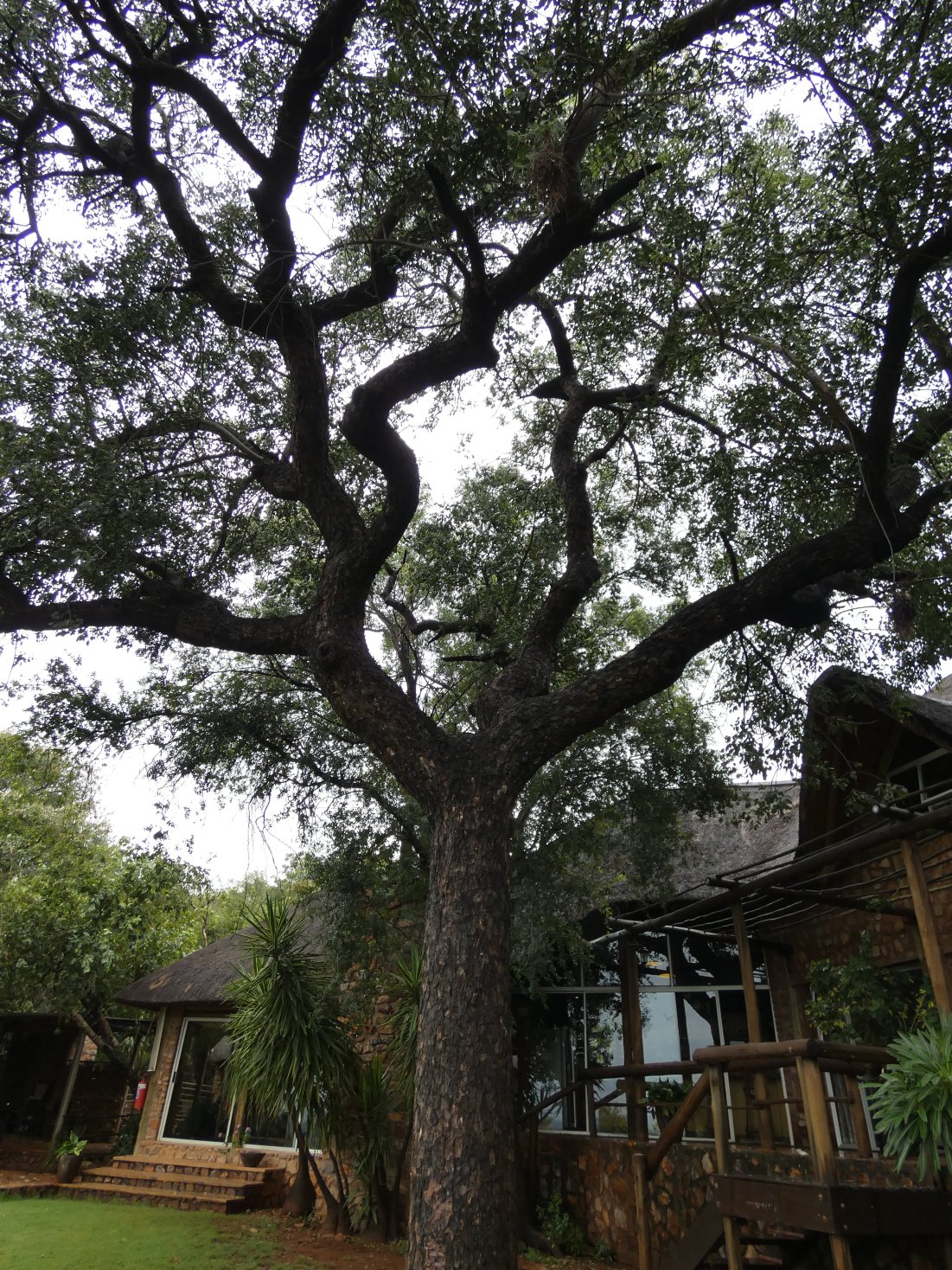 马鲁拉小屋宾客旅舍-酒店景观