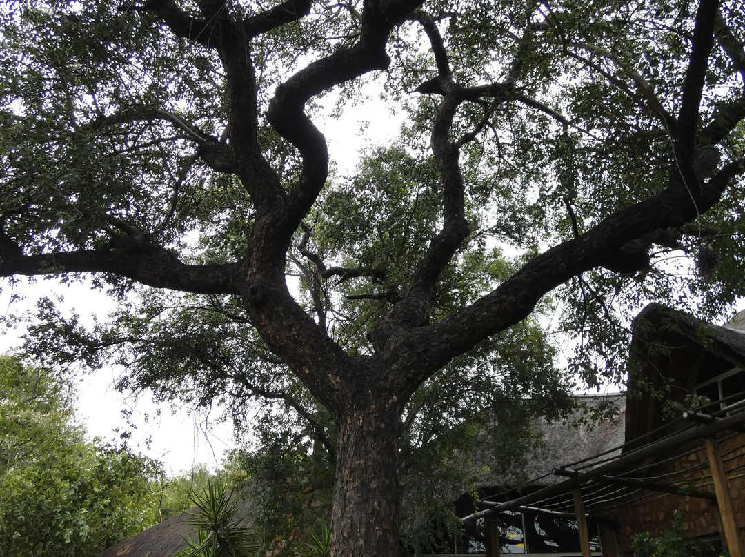 马鲁拉小屋宾客旅舍主图