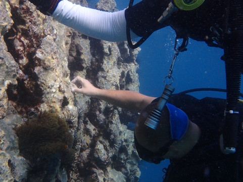 Dive center - Diver Stars-查龙必去景点