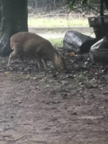 Warner Hotels Heythrop Park Spa-Enstone必去景点
