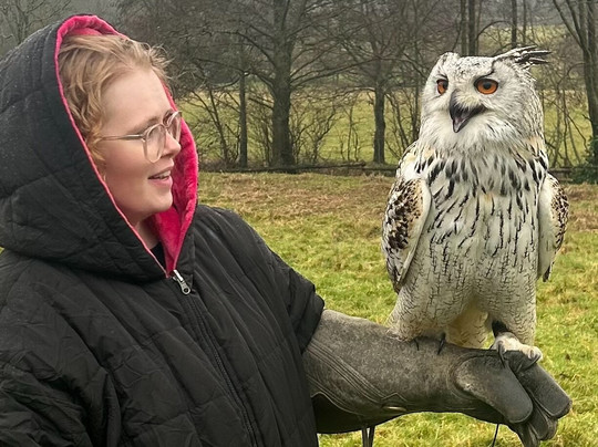 UK Owl And Raptor Centre-Groombridge必去景点