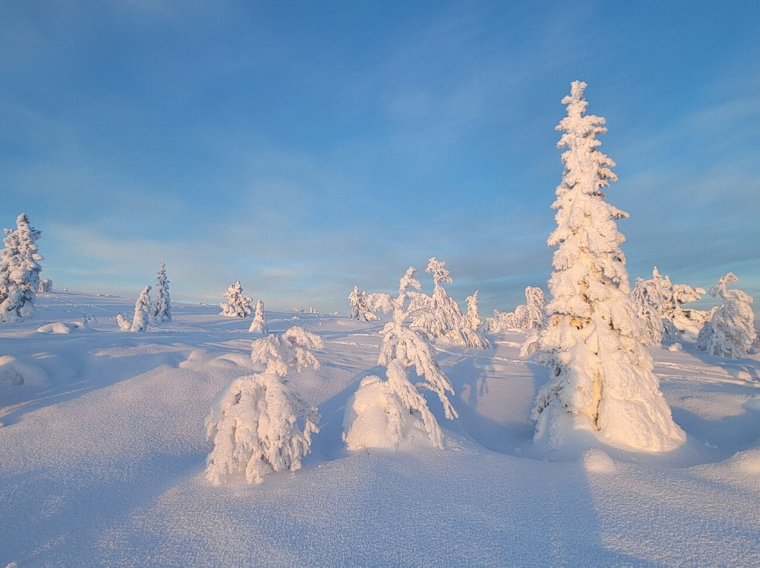 Lapland Safaris Yllas-Akaslompolo必去景点
