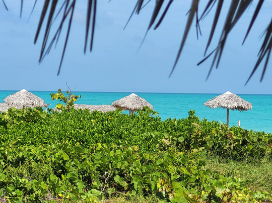 Hotel La Marina Plaza & Spa主图