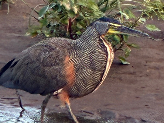 Vic-Tours-卡拉拉必去景点