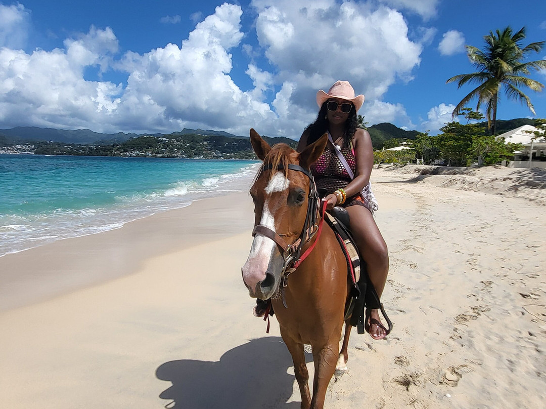 Bonanza Stables-St. George's必去景点