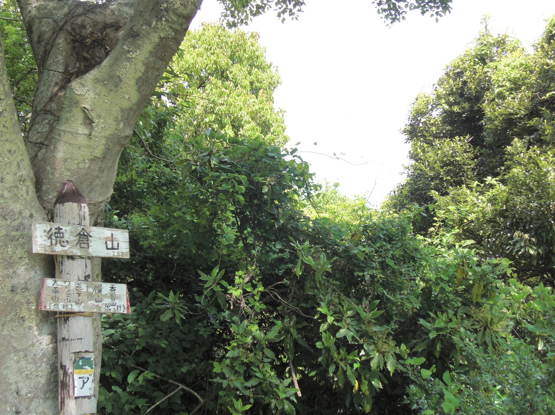 Numazu Alps Mountains-沼津市必去景点