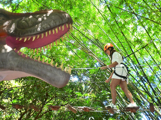 Dreams Park Show-伊瓜苏必去景点