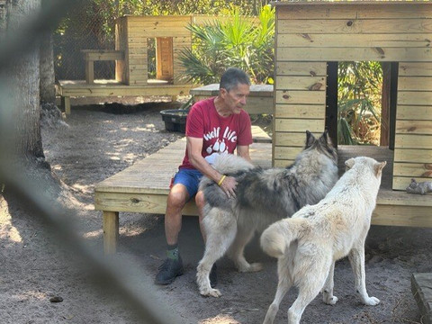 Shy Wolf Sanctuary Education & Experience Center-Golden Gate必去景点