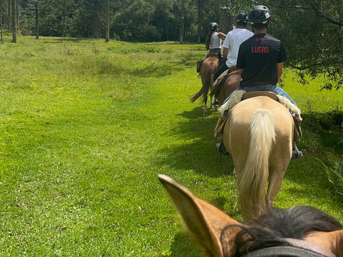 Fruta Fina Orgânicos-Urubici必去景点