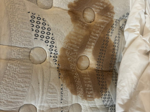 底特律乌蒂卡拉昆塔温德姆套房酒店主图