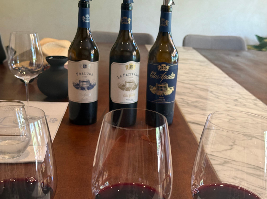 Clos Apalta-圣克鲁斯必去景点