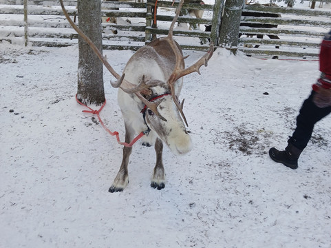 Ruka Adventures-库萨莫必去景点