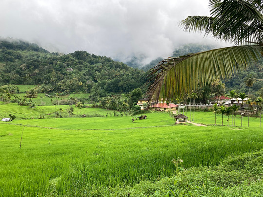 Kandy Trekking Tours-康提必去景点