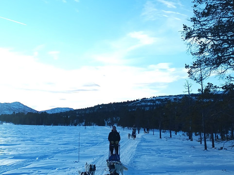 Trollheimen Husky-Rennebu Municipality必去景点