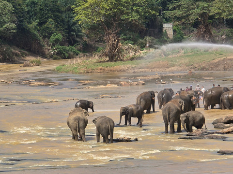 Geethmi Tours-亚洪加拉必去景点