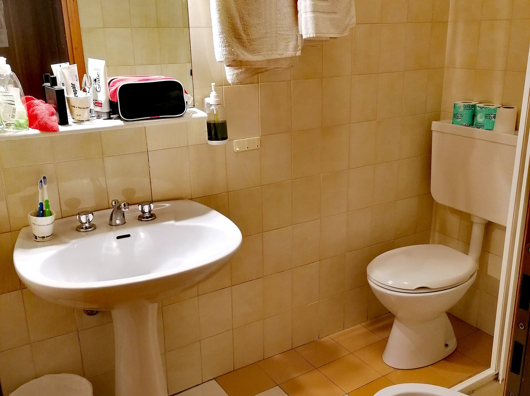 阿里皮拉米德酒店主图