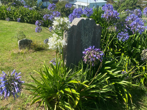 Rangiatea Church-Otaki必去景点